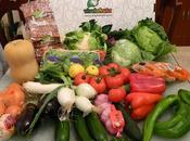Cesta verduras vivelafruta