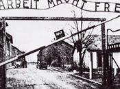 esto hombre", Primo Levi. historia Auschwitz