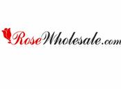 Rosewholesale