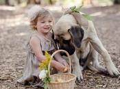 mascotas casamiento