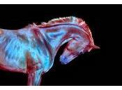 Fenech-Soler estrenan vídeo para Blood'