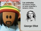 [Bob Sabio] Animales