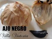 Negro "Villa Victoria".