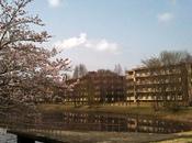 residencia Ichinoya