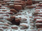 pared