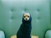 Como integrar arte decoración