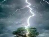 punto morir