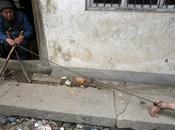 Niño chino problemas mentales encadenado padre. fotos.