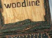 Creencias erradas sobre informáticos