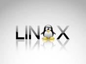 Linux triunfa equipos domesticos