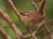 Confiados... agotados