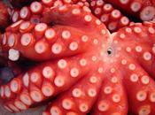 Ensalada Tibia Pulpo