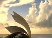 veo: libro