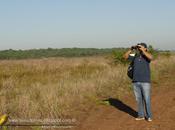 Observando aves Costanera Candelaria Misiones