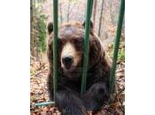 Cuentos cortos Antonio Mello (01)