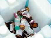 Detectan peligros mala conservación vacunas