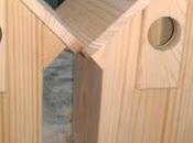ventajas inconvenientes poder observar