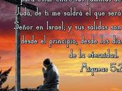 Reflexión Navidad