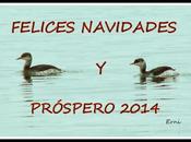 ¡¡felices fiestas todos!!