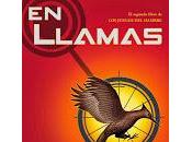 Ranking lecturas 2013