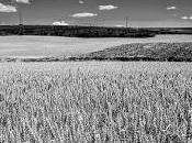 Paisajes