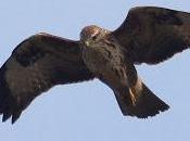 year spain 2013 (noviembre)