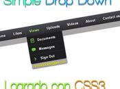 Simple Drop Down CSS3