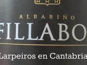 Vino Blanco Fillaboa 2012: ¿Que pasó Guia Vinos Gourmet?