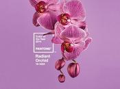 Radiant Orchid: color 2014