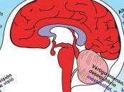 Ictus telefonía móvil: Lecciones tardías alertas tempranas