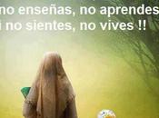 Feliz 2014!!!