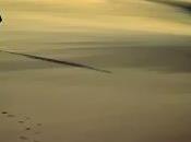 Fútbol base... nada