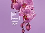 Radiant Orchid, Pantone Color year 2014