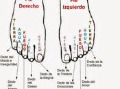 personalidad dedos pies