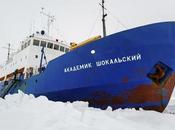 Akademik Shokalskiy