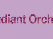 Color 2014: Radiant Orchidea según Pantone