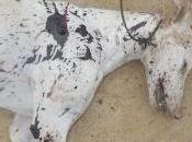 rescate, para algunos demasiado tarde...