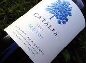 Catalpa merlot 2011