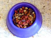 sentido gusto comida para perros
