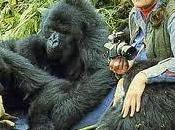 Dian Fossey, amiga gorilas, cumpliría años