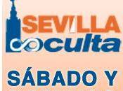 Sevilla O-Meeting