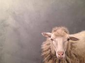 Recomendando exposiciones