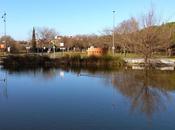 Patos tortugas mollet vallés...20-01-2014...!!!