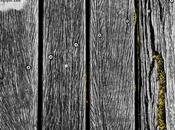 Tornillos musgo madera