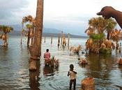 Lago Enriquillo crecido centímetros enero 2014.