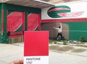 Pantone Project