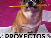 #proyectoIsi: Bookchef