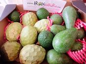 Tropicultura
