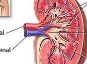 Insuficiencia Renal Crónica