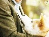 Hachi